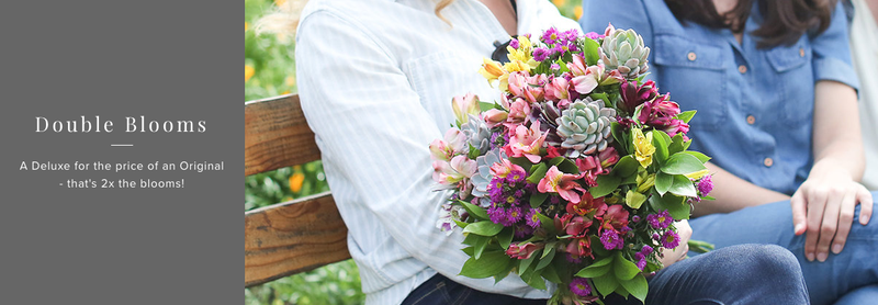 Deluxe bouquet for the price of Original with code DOUBLETROUBLE